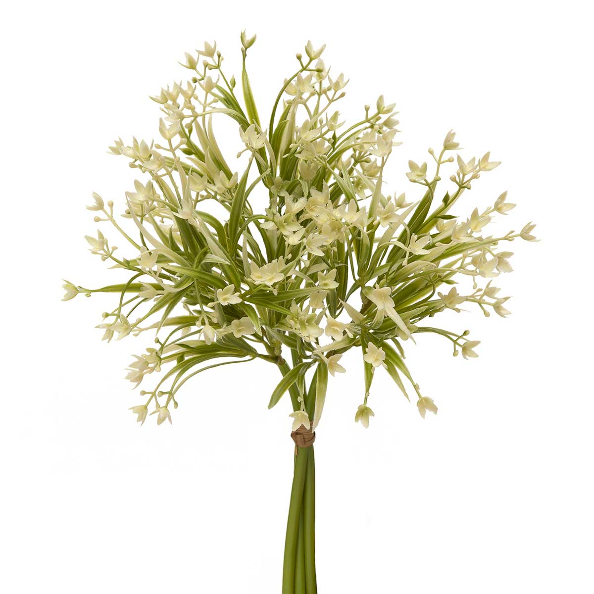 BUNDLE OF 3 FLOWER GRASS WHITE 9IN X 15IN TIED WITH RAFFIA